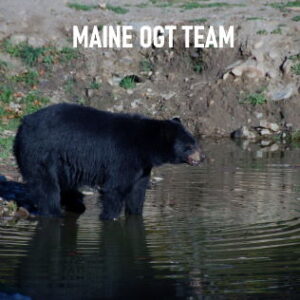 Maine OGT Team
